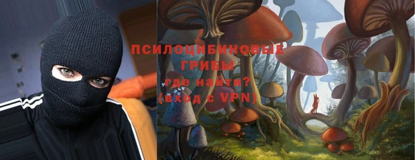 сатива Остров