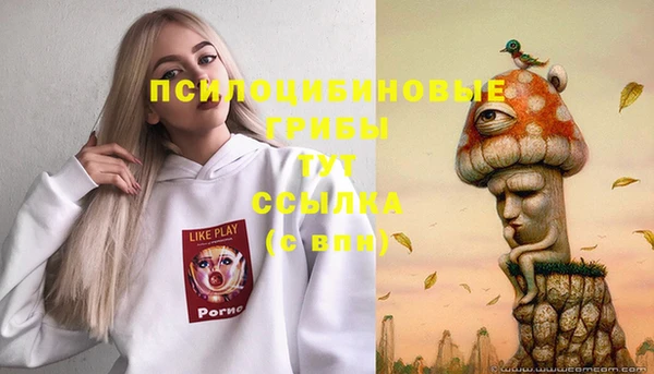 сатива Остров