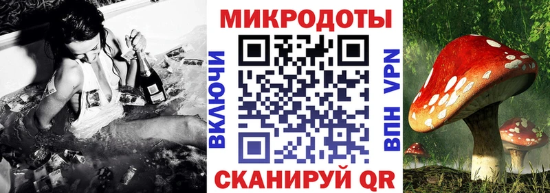 Псилоцибиновые грибы прущие грибы  Спасск-Рязанский 